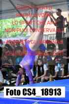 CS4_18913-
