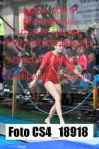 CS4_18918-