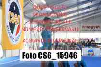 CS6_15946-