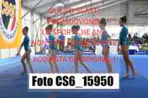 CS6_15950-
