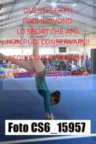 CS6_15957-
