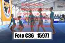 CS6_15977-