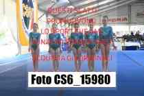 CS6_15980-