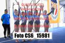 CS6_15981-