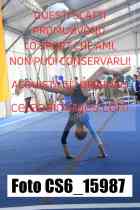 CS6_15987-