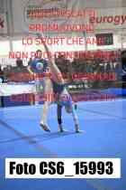 CS6_15993-