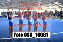 CS6_16061-