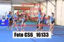 CS6_16133-