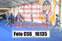 CS6_16135-