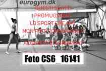 CS6_16141-