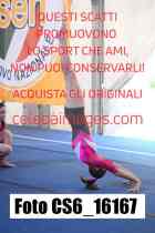 CS6_16167-