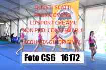 CS6_16172-