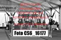 CS6_16177-