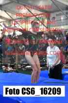 CS6_16209-