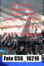 CS6_16216-
