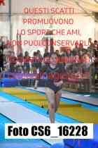 CS6_16228-