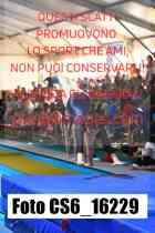 CS6_16229-