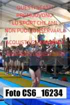 CS6_16234-