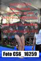 CS6_16259-