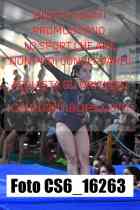 CS6_16263-