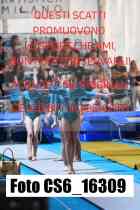 CS6_16309-