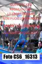 CS6_16313-