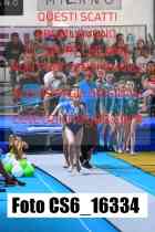 CS6_16334-