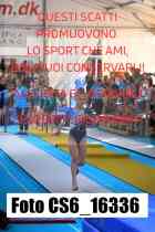 CS6_16336-