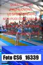 CS6_16339-