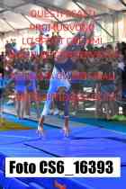 CS6_16393-