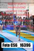 CS6_16396-