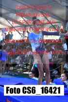 CS6_16421-