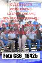 CS6_16425-