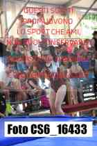 CS6_16433-