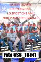 CS6_16441-