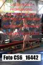 CS6_16442-