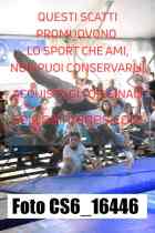 CS6_16446-