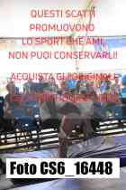 CS6_16448-