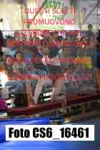 CS6_16461-