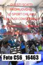 CS6_16463-