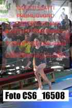 CS6_16508-