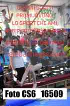 CS6_16509-