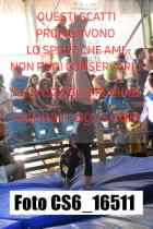 CS6_16511-