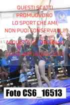 CS6_16513-