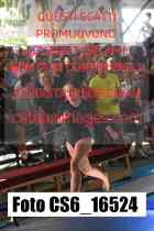 CS6_16524-