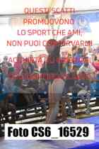 CS6_16529-