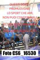 CS6_16530-