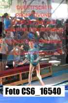 CS6_16540-