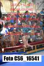 CS6_16541-