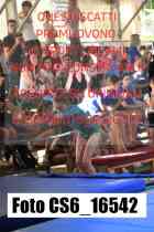 CS6_16542-
